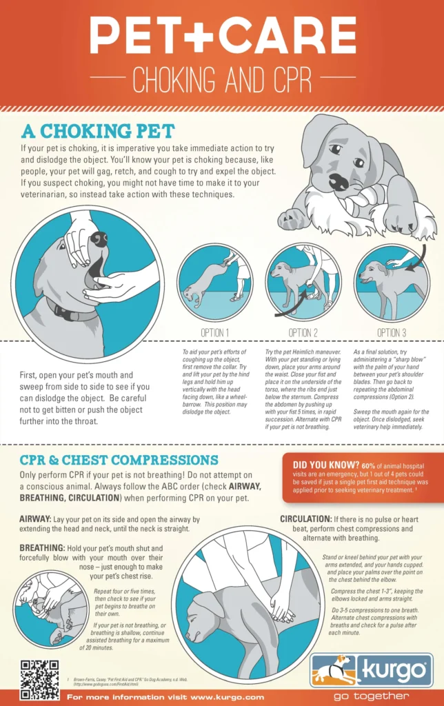 Prepping for Your Pet CPR Choking Assist Chart
