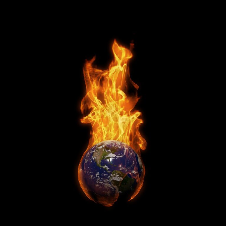 World on Fire