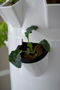 Vertical planter