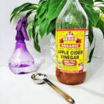 Apple cider vinegar bottle with spray bottle and spoon near an indoor plant.