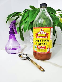 Apple cider vinegar bottle with spray bottle and spoon near an indoor plant.