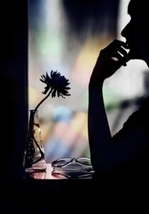 black, flower, woman, colour, beautiful flowers, flower wallpaper, flower background, nature, window