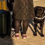 Traveler with suitcase and dog on sunny day in Kutina, Croatia.